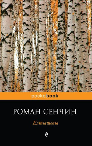 Елтышевы. Роман Сенчин