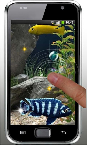 免費下載個人化APP|Aquarium Fishes Photo LWP app開箱文|APP開箱王