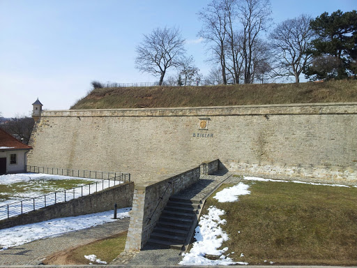 Stadtmauer Erfurt