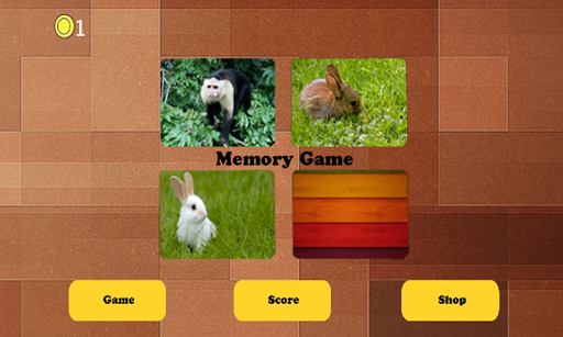 Memory Game