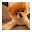 Boo The Dog Download on Windows
