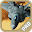 F22 Fighter Desert Storm Pro Download on Windows