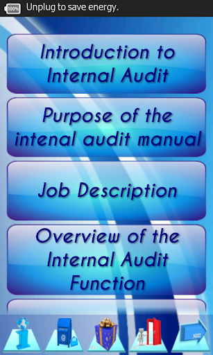 Internal Audit Process Manual