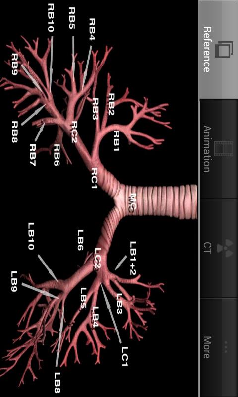 Android application Broncho screenshort