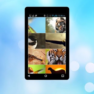 How to install Animals Wallpapers patch 1.0 apk for android