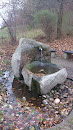 Trinkwasser Brunnen Grunbacher Höhe