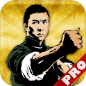 Wing Chun PRO logo