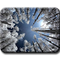 Infrared photography logo