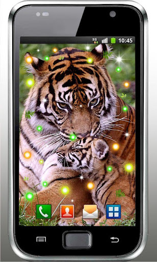 Wild Tigers Hunt HD LWP