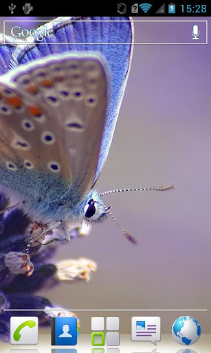 Magic butterflies HD Wallpaper