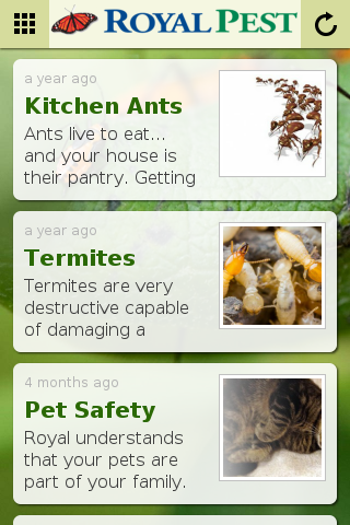 Royal Pest Solutions