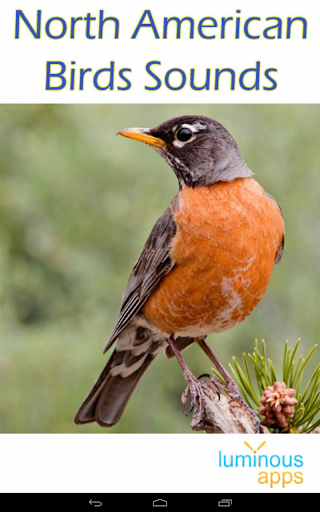 免費下載教育APP|North American Birds Sounds app開箱文|APP開箱王