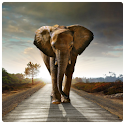 Magic Effect Elephant logo