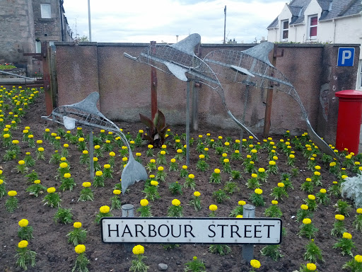 Dolphin Sculptures