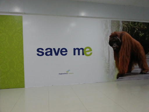 Mural Save Me Orangutan Sepinggan Airport Balikpapan East Borneo