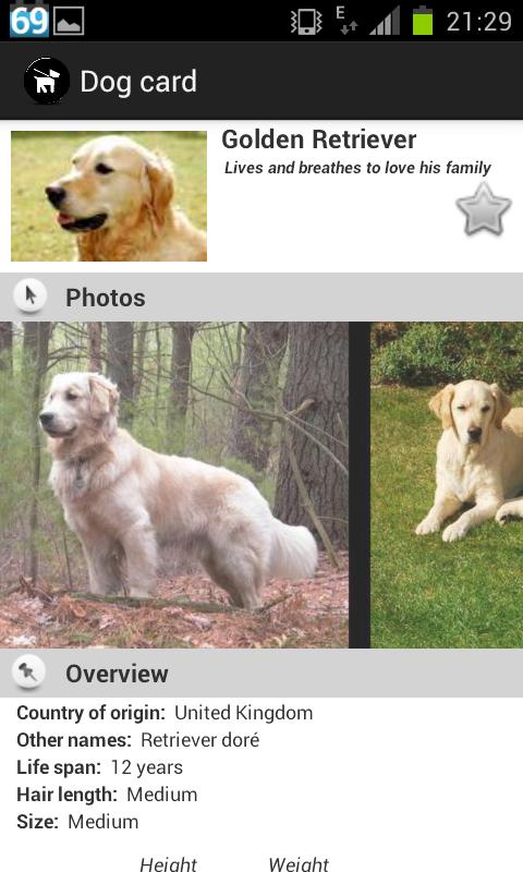 Dogs Breeds Premium Screen 3