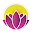 Sophia Casey, Life Coach Download on Windows