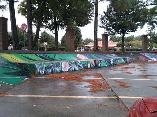 Green Graffiti Mural
