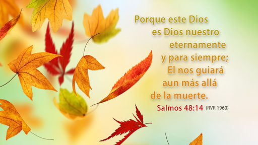 Orar con los Salmos