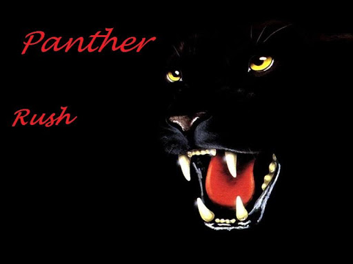 Panther Rush