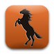 Horse Tack Guide