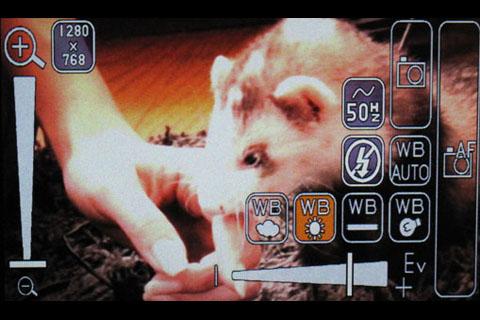 簡単操作(EZUI)カメラ（日本語製品版） Screen 1