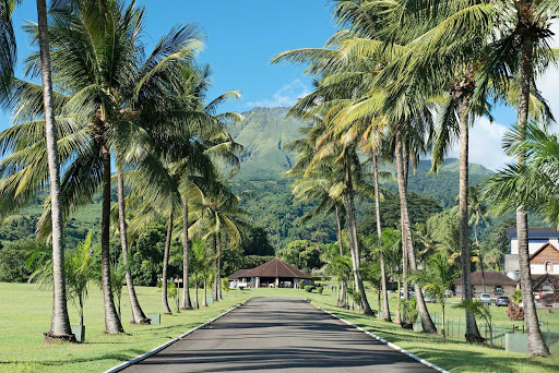 Sainte-Anne-pathway-Martinique - On the path to the village of Sainte-Anne, a scenic town full of beaches and bungalows.