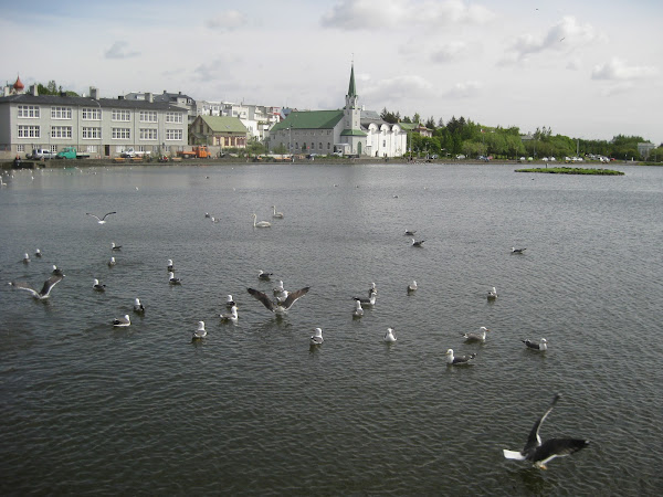 Idyllic Reykjavik
