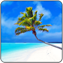 Maldives 3D LWP, True Weather mobile app icon
