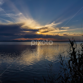 by Aitor Photograph - Nature Up Close Water
