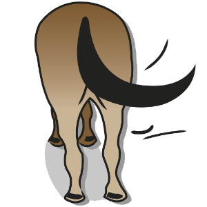 Text Art for Facebook (pictures from.