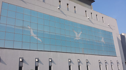 カモメの壁画（ Seagulls Wall Murals ）