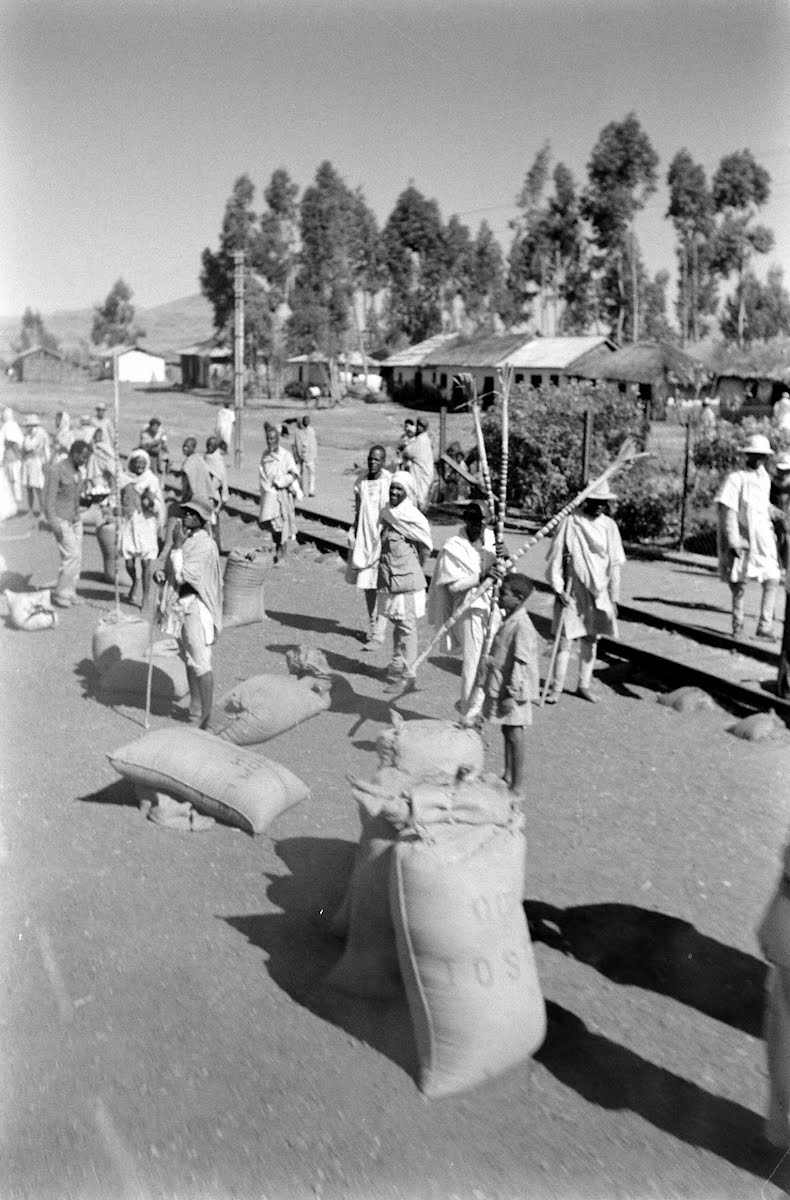 Essay about covid-19 picture