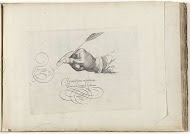 Rechterhand met ganzenpen