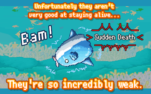 Survive! Mola mola!