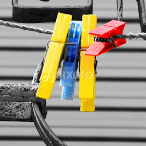 by Rui Silva - Artistic Objects Other Objects