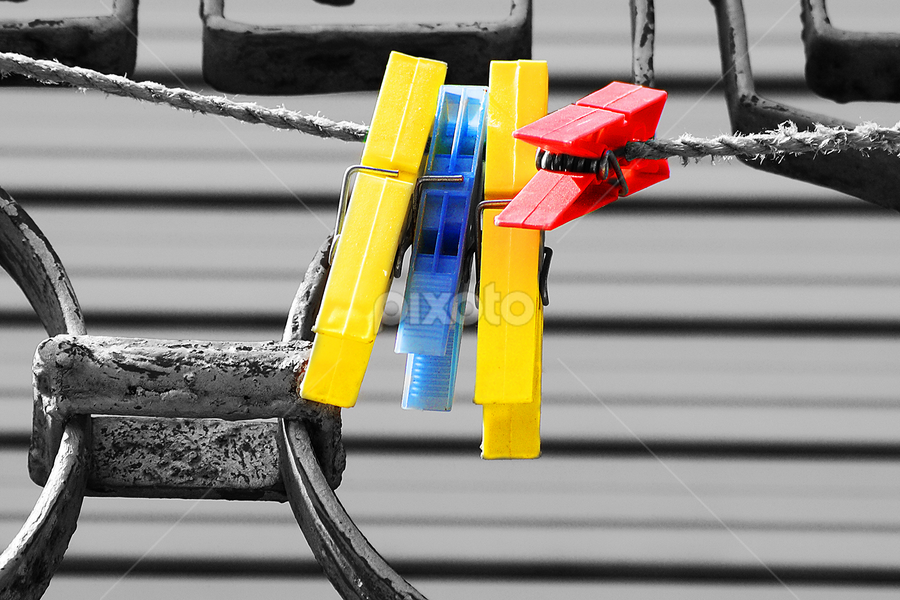 by Rui Silva - Artistic Objects Other Objects