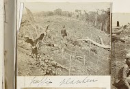Koffieplanten op de plantage van Silo Sanen