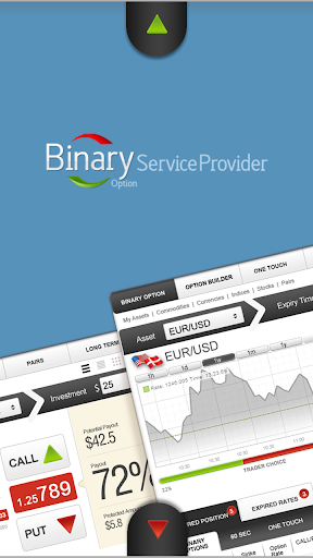 BinaryServiceProvider
