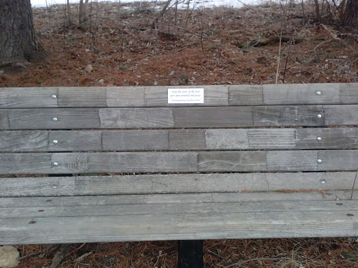 Mildred Green Memorial Bench