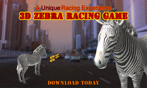 Wildlife Zebra Run