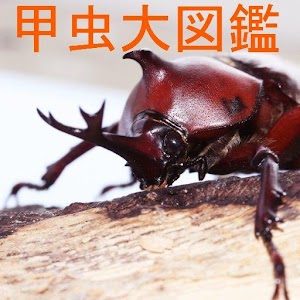 World of Insects logo