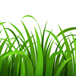 Grass Simulator