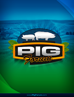 Pig Forum - náhled