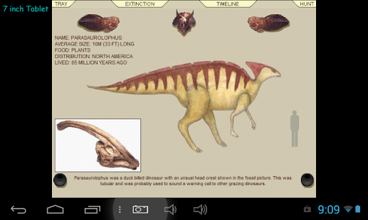 download Dinosaur Hunt free