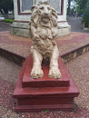 Lion Statue  