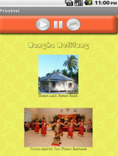 Ragam Budaya Indonesia Screenshots 3