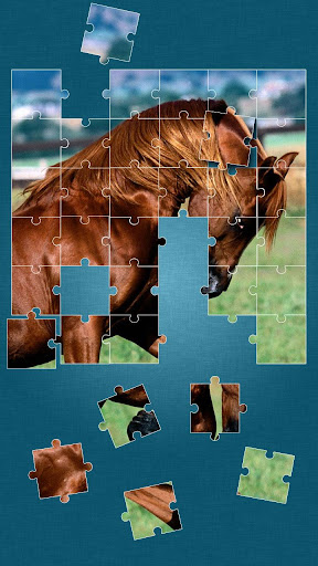 Horses Jigsaw Puzzle Game