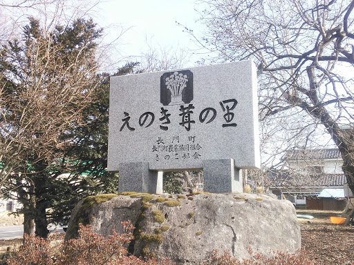 えのき茸の里(Enokidake Monument)