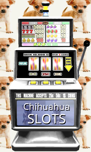 3D Chihuahua Slots - Free